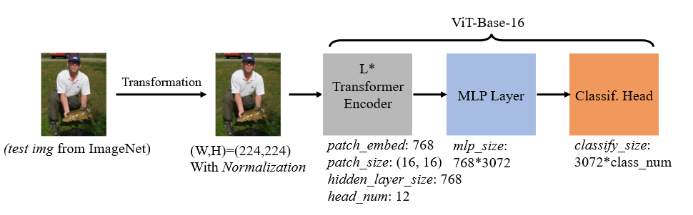 ViT_Base_16 Net Structure